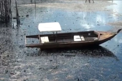 Mengerikan! Begini Penampakan Pencemaran Minyak Hitam di Pantai Melayu Batam