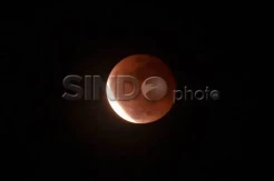 Super Blue Blood Moon 2018, Gerhana Bulan Terindah Sepanjang Sejarah yang Sangat Jarang Terjadi
