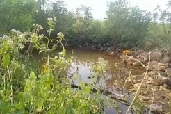 Sumur Keramat Pengasinan, yang Mandi Wajib Tinggalkan Celana Dalam