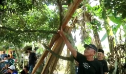 Cekcok dengan Istri, Pria di Muna Barat Gantung Diri di Pohon Rambutan