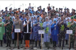 TNI Tanam 2.500 Bibit Pohon Mangrove di Laut Natuna