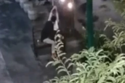 Pasangan Mesum Asyik...