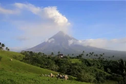 Gunung Mayon Erupsi, Ribuan Warga Filipina Dievakuasi