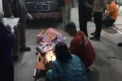 Miris! Maling Kambing di Batu Bara Tewas Dihajar Massa