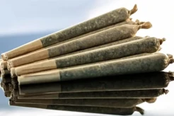 Apakah Rokok Herbal...