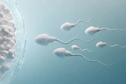 Ilmuwan Temukan Cara Membuat Embrio Manusia Tanpa Sperma