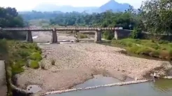 Debit Air Bendung Cipero Turun Drastis, Ribuan Hektare Padi di Tegal Gagal Panen