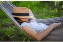 Studi Baru: Tidur Siang Dapat Memperlambat Penyusutan Otak