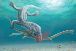 Terungkap! Hewan Purba Ginormous Mati Digigit Monster Laut hingga Leher Putus