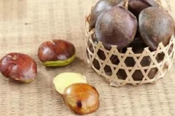 Apakah Jengkol Mengandung Kolesterol? Ini Faktanya