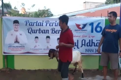 Berbagi dengan Masyarakat, Perindo Kepri Salurkan Hewan Kurban