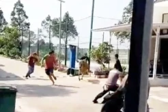Sapi Kurban Mengamuk di Tangerang, Seruduk Panitia dan Masuk Rumah Warga