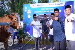 Sasar 6.351 Mustahik di Bontang, BPUI Salurkan 146 Hewan Kurban