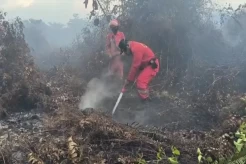Mengkhawatirkan! Karhutla di Dekat Pembangunan Bandara Singkawang Mencapai 20 Hektare