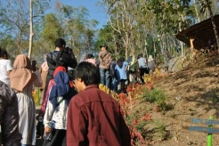 Kisah Kesaktian Bajulgiling, Pusaka Andalan Jaka Tingkir yang Bisa Tundukkan Puluhan Buaya