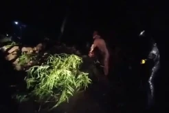 Jumat Dini Hari Desa Kenderan Gianyar Diterjang Longsor