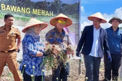 Sumatera Utara Bakal Jadi Basis Produksi Pangan
