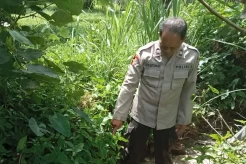 Hilang Sepekan, Balita Perempuan Ditemukan Tewas Membusuk di Hatonduhan