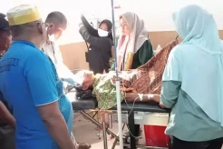 Gempar! Warga Batanghari Nyaris Tewas Diterkam Beruang di Kebun Sawit