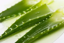 5 Tanaman Penurun Gula Darah, Cocok untuk Penderita Diabetes