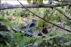 Ngeri! Saling Tombak di Nias Utara Berujung 1 Tewas dan 3 Luka Bacok