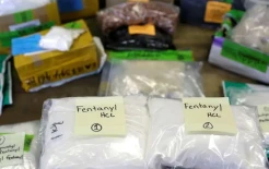 5 Fakta Mengerikan Fentanil,...