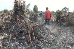 Lahan 3 Hektare di Banyuasin Terbakar, Api Sulit Dipadamkan