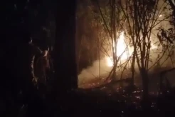 Kebakaran Hutan Lereng Gunung Lawu, 9 Hektare Lahan Ludes
