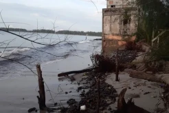 Waspada! Abrasi di Pantai Pulo Sarok Ancam Permukiman Warga Kota Aceh Singkil