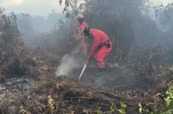Dampak Karhutla, ISPA di Kalsel Tembus 189.111 Kasus