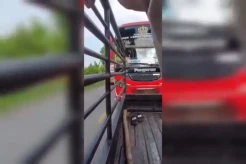 Viral Bus Dimintai Klakson Om Telolet Om Nyaris Tabrak Pikap