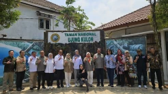 Badak Jawa Hanya Tersisa 80 Individu