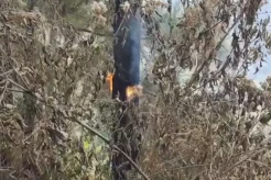 Hutan di Lereng Gunung Wilis Kediri Terbakar