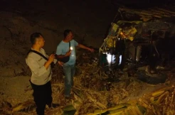 Truk Perhutani Terjun ke Jurang 50 Meter di Hutan Grobogan, Sopir Tewas Terjepit
