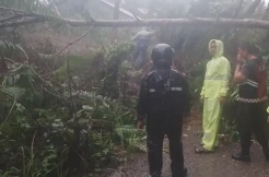 Akses Jalan di Nias Selatan Tertutup Longsor 100 Meter, Aktivitas Warga Pun Lumpuh