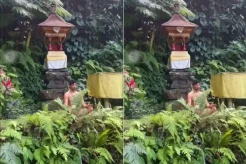 Viral! Bule Meditasi...