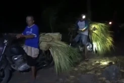 Tertangkap Curi Janur Kelapa, 3 Pemuda di Lumajang Dihajar Massa dan Motor Dibakar