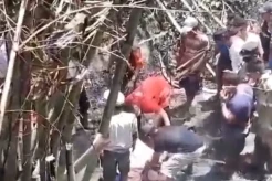 Tragis! Pria di Wajo Ditemukan Tewas Terjebak Kebakaran Kebun Bambu
