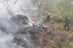 27 Hektare Lahan Hutan Lindung Egon Ilin Medo Sikka Terbakar, Api Sulit Dipadamkan