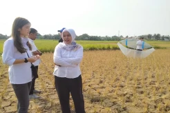 Hiburan Musim Kemarau, Caleg Perindo Gelar Kompetisi Layang-layang di Tangerang