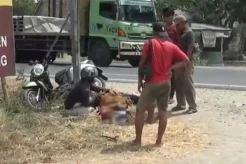 Tabrak Tiang Listrik, Pemuda Klaten Tewas di Jalur Pantura Tuban