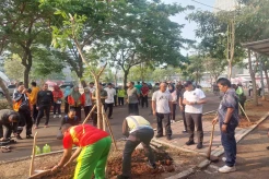 Makin Sejuk, Thamrin 10 Lakukan Penghijauan