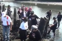 Perindo, Relawan Ganjar dan Pekat Tanam Mangrove di Pinggir Tol Bandara Ngurah Rai Bali