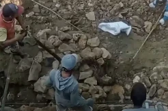 Serang Warga Sampang, Evakuasi Ular Piton 3 Meter Berlangsung Tegang