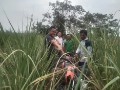 Motor Curian Ditemukan di Kebun Tebu, Polisi Sebut Terkait Curas di Tulang Bawang Barat