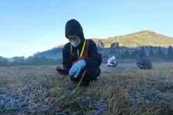 Dampak El Nino, Intensitas Embun Es di Kawasan Dieng Meningkat