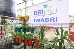 Warga Tuminting dan BRI Ubah Lahan Timbunan Sampah Jadi Lahan Urban Farming BRInita