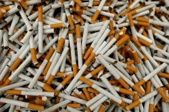 Sekarat, Bisnis Rokok...