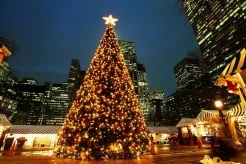 5 Negara di Dunia yang Merayakan Natal dengan Cara Unik, Afrika Konsumsi Ulat