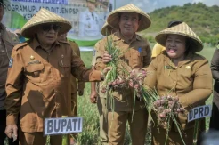 Petani Sumbawa Terima Bantuan Program Micro Finance UPLAND Kementan